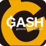 GASH点卡